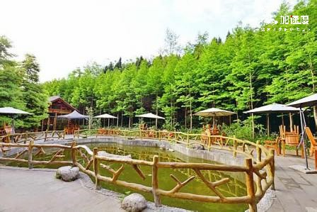 綿陽(yáng)團(tuán)建(jian)拓展(zhan)場(chang)地推薦：晨曦森林度假村