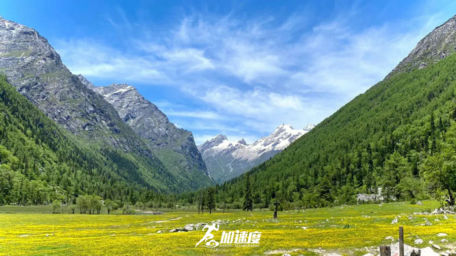 微信(xin)圖片_20240410154215.jpg